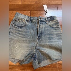 Express Light Blue Relaxed Women’s shorts